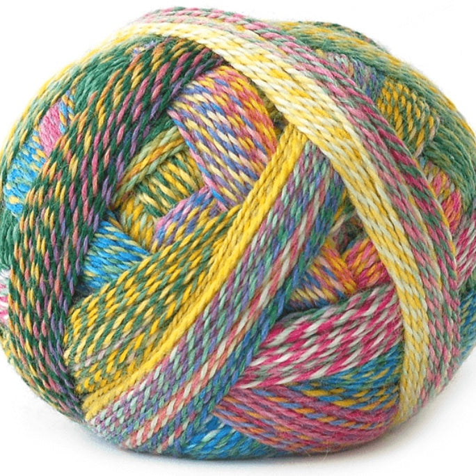 Schoppel - Zauberball Starke 6