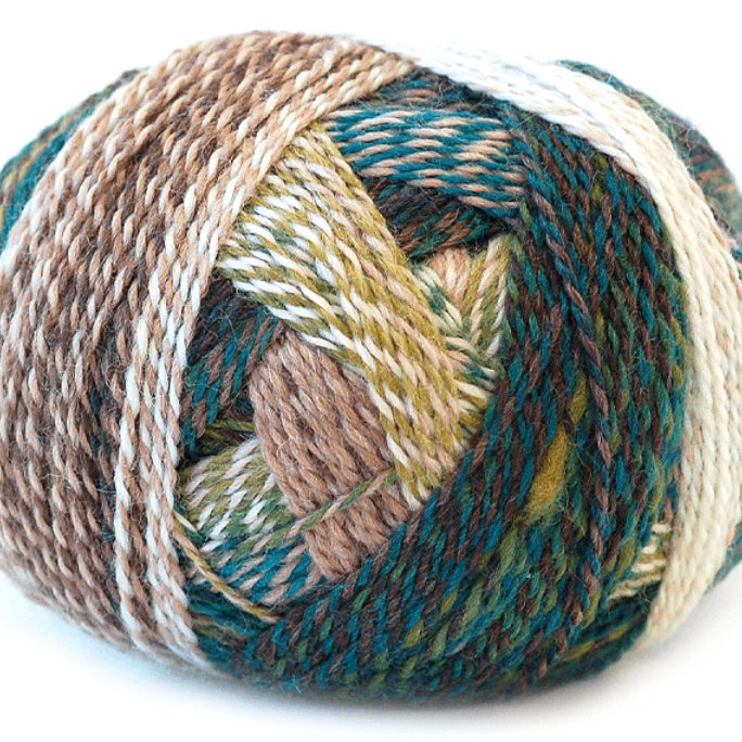 Schoppel - Zauberball Starke 6