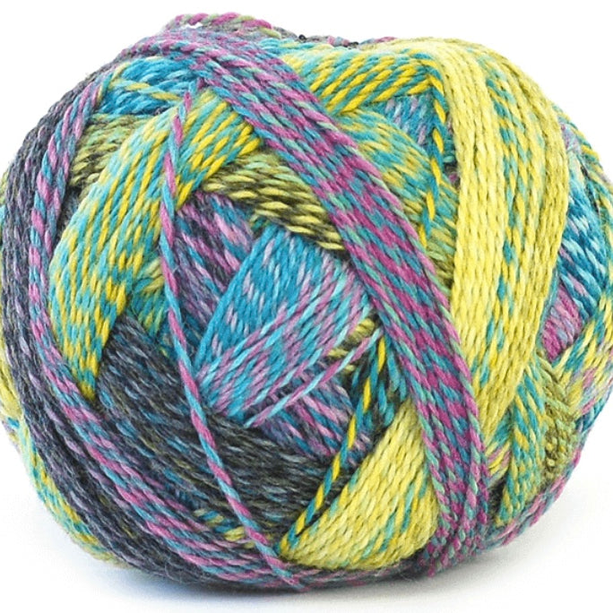 Schoppel - Zauberball Starke 6