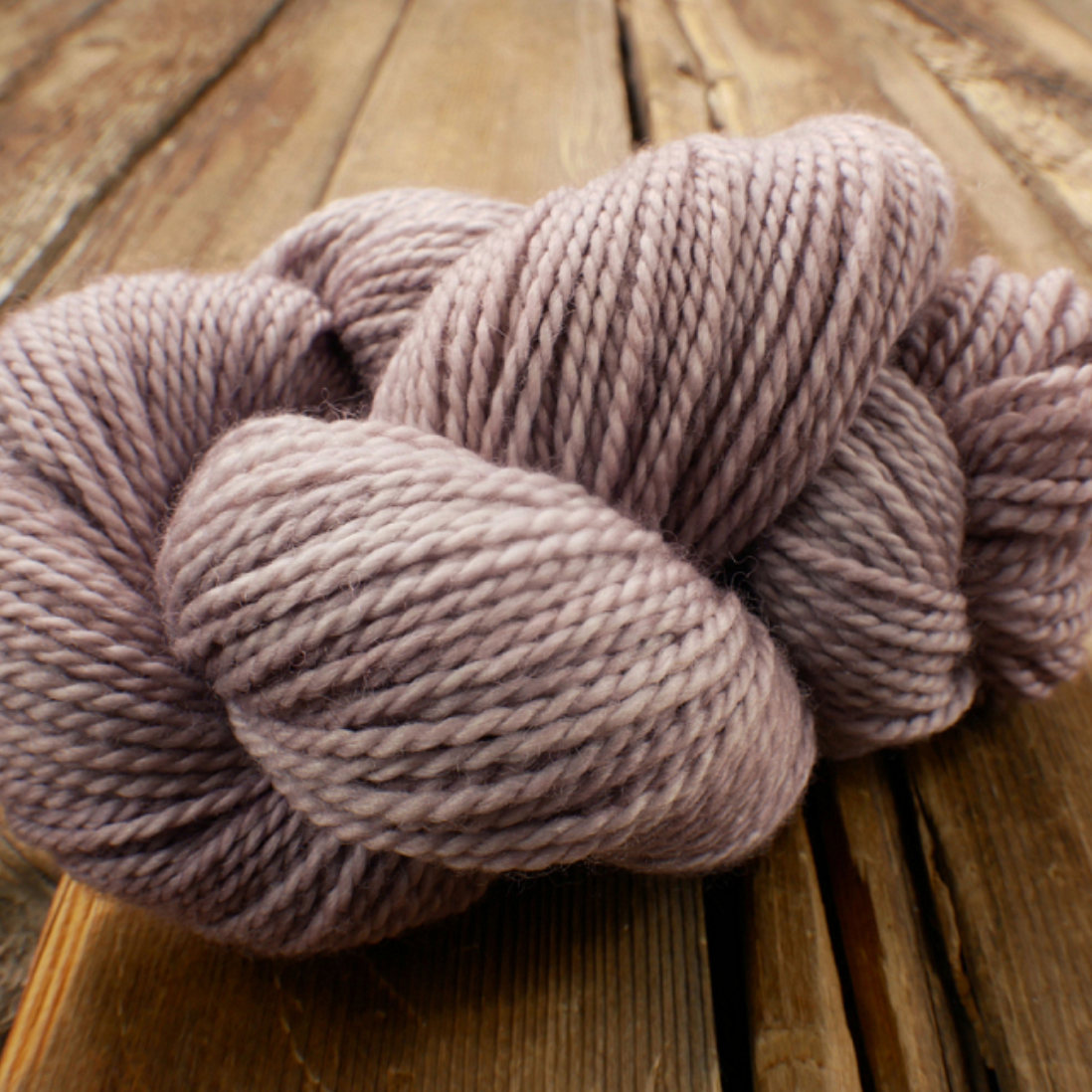 Dream in Color - Lamb & Goat